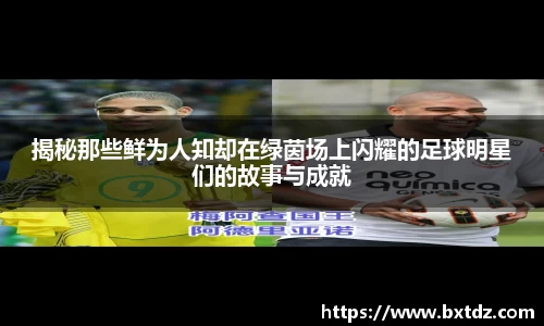 揭秘那些鲜为人知却在绿茵场上闪耀的足球明星们的故事与成就